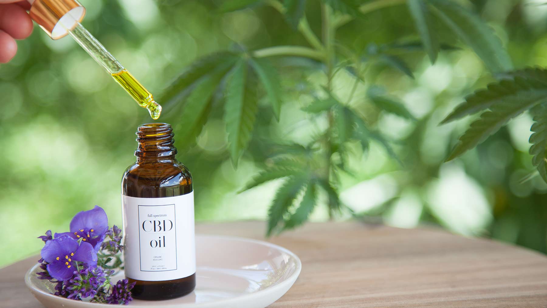 Where to Buy THC Oil in UK: Badbuds Online Cannabis Dispensary Marijuana Buds Guide